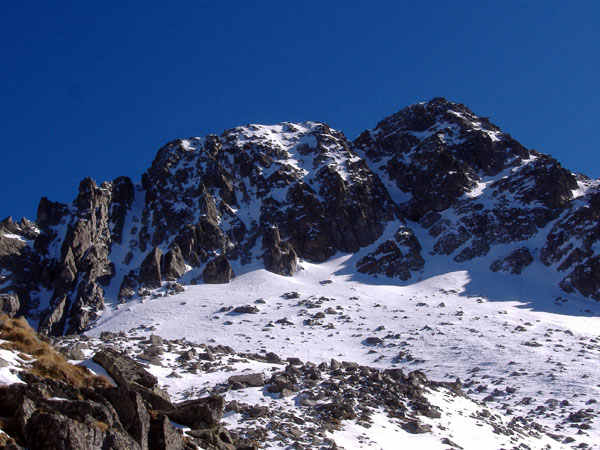 Aviolo16