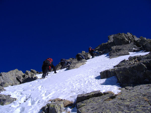 Aviolo25