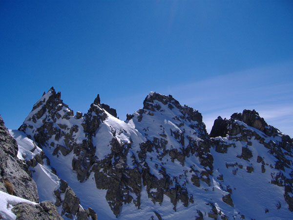 Aviolo29
