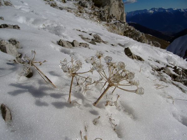 Pizzo Corzene09
